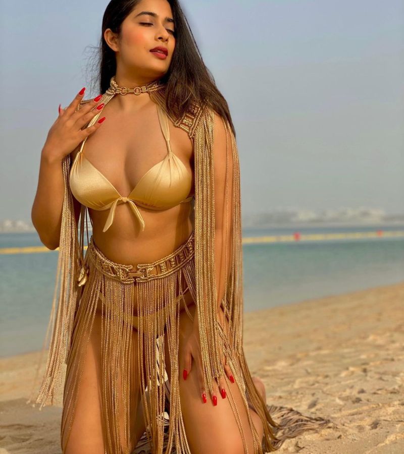 Top 10 Hottest Pics of Nikita Sharma - The Best Travel Influencer