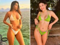 Sexy20Bikini20Pics20of20Shivani20Singh20The20Hot20Instagram20Sensation 1200x900