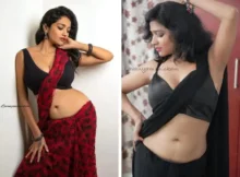 Lavanya Manickam Sexy and Hot Pics in Saree