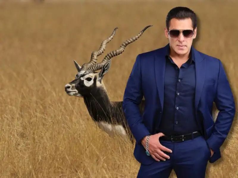 Salman-khan-blackbuck-hunting-case