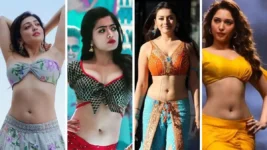 15 South Indian Actresses Who have the Best Navel