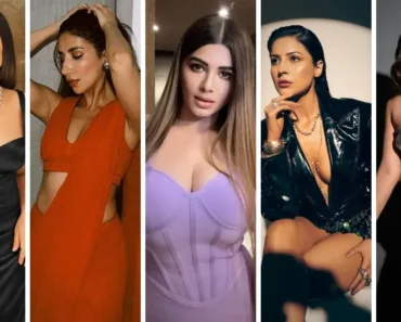 17 Hottest Punjabi Models in Pollywood