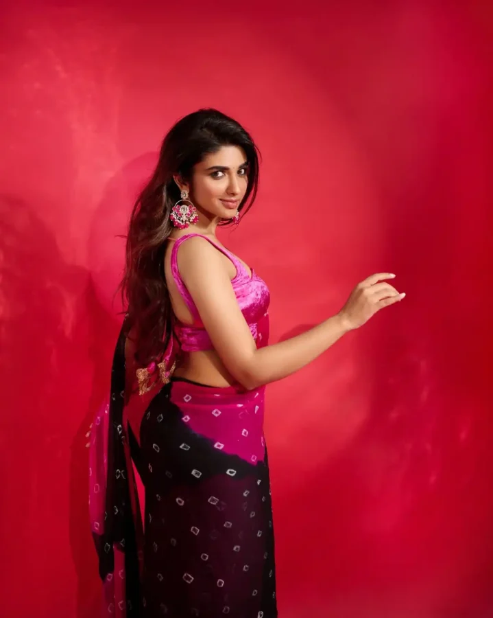 Pragya Nagra Sexy Figure In Saree