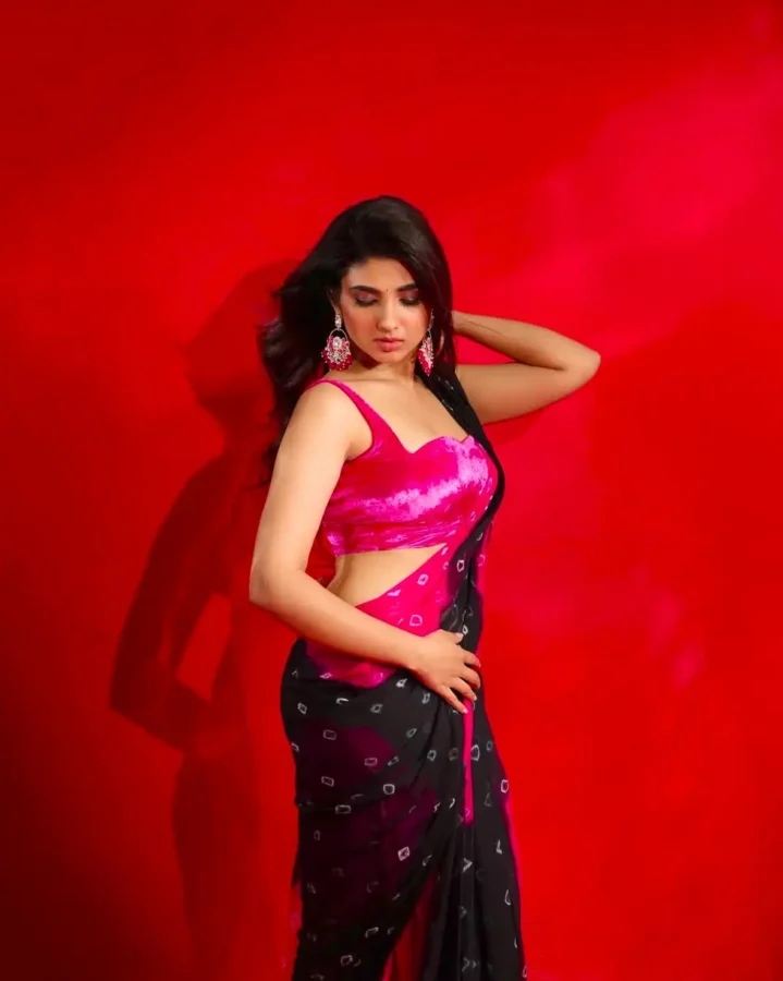 Pragya Nagra Sexy Figure In Saree