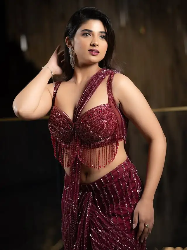 Pragya Nagra Sexy Figure In Saree 18