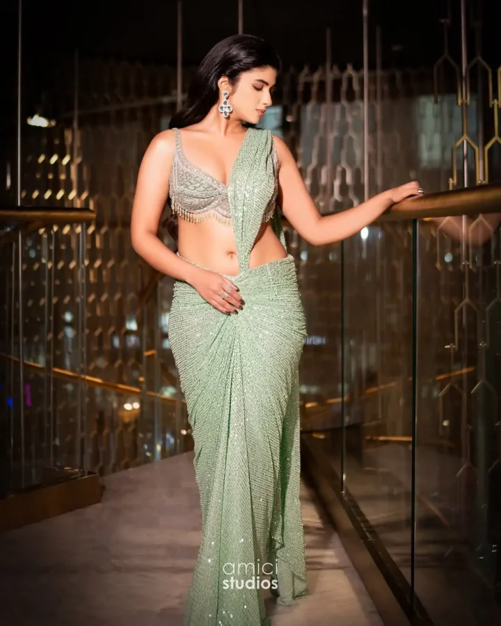 Pragya Nagra Sexy Figure In Saree