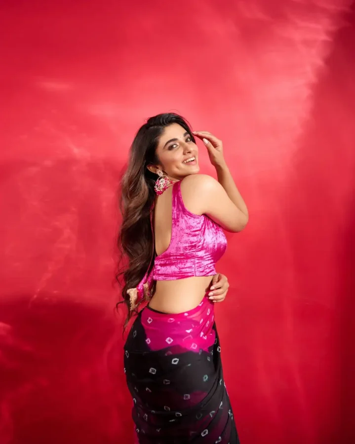Pragya Nagra Sexy Figure In Saree
